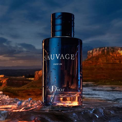 dior sauvage parfum 100|dior sauvage ml price.